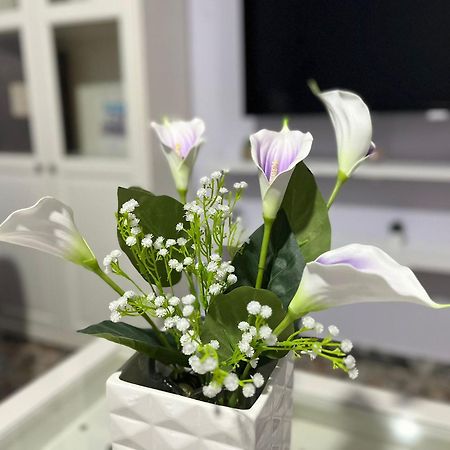 L'Oasi Del Cervo Daire Floransa Dış mekan fotoğraf